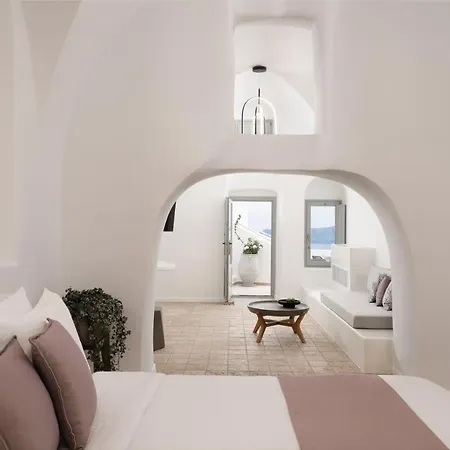 Otel Asha Luxury 4*