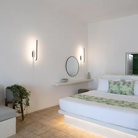 Otel Asha Luxury 4*
