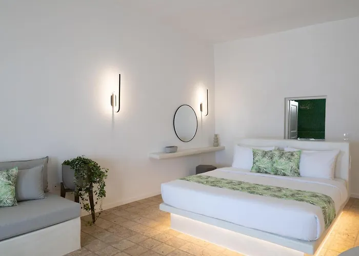 Hotel Asha Luxury 4*