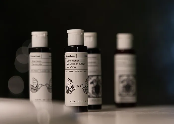 Отель Asha Luxury 4*